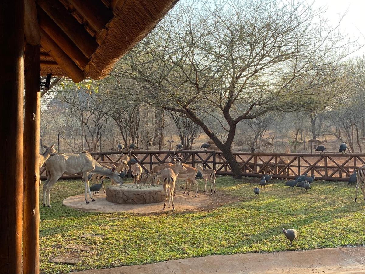 Genet House Holiday Home Marloth Park Ngoại thất bức ảnh