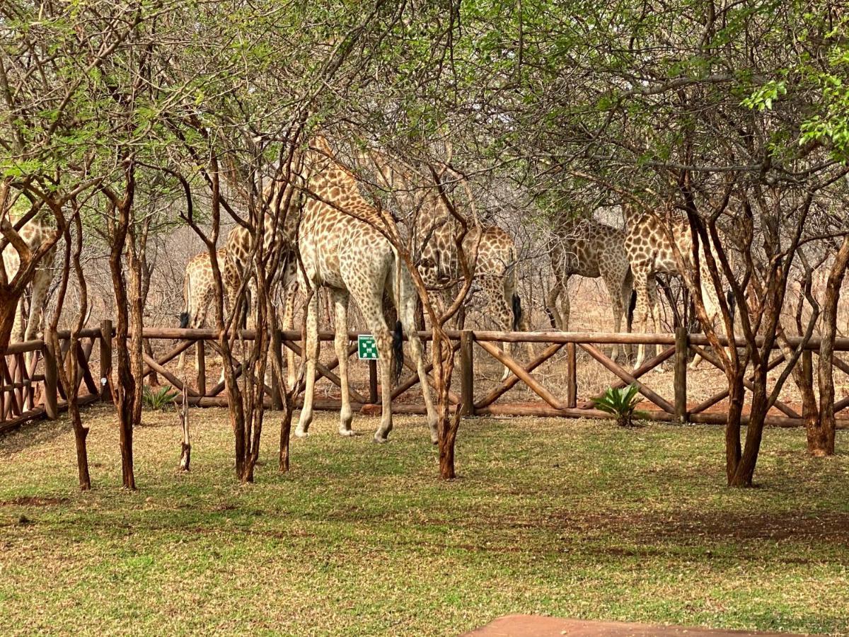 Genet House Holiday Home Marloth Park Ngoại thất bức ảnh