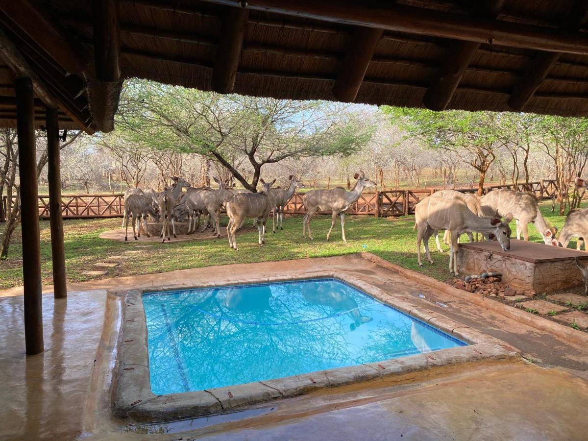 Genet House Holiday Home Marloth Park Ngoại thất bức ảnh